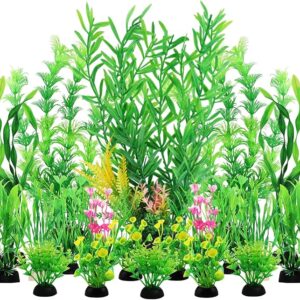 fish tank plants
